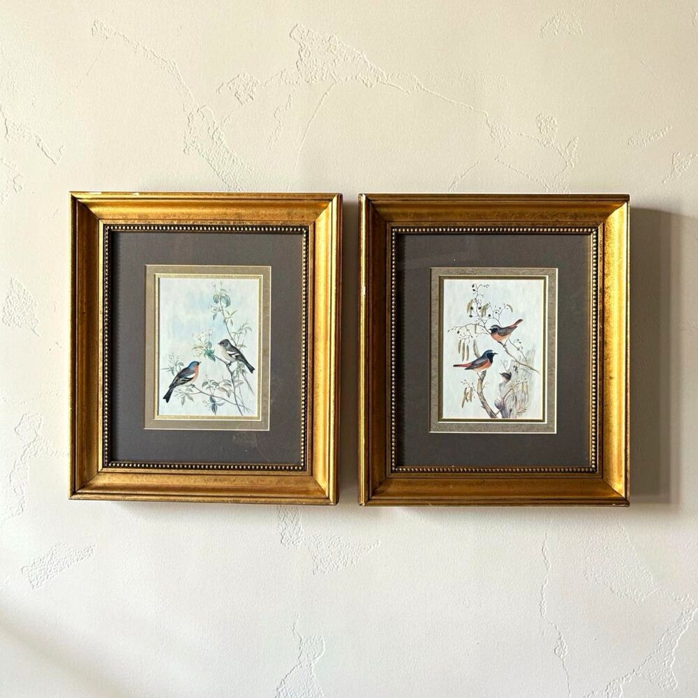 Paul Whitney Hunter Framed Bird Prints Set of 2 Vintage Triple Matted 16.5x14